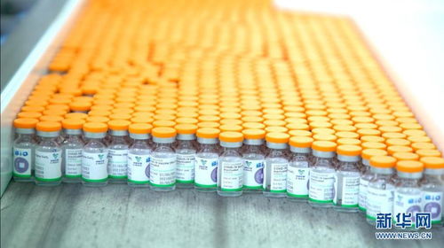 國藥中國生物首批新冠疫苗下線，全球抗疫再添新動(dòng)力